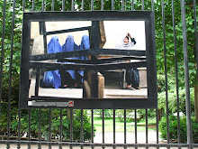 Las ví en las rejas de los jardines de  Luxemburgo