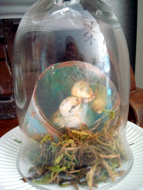 [DSC07113.JPG]