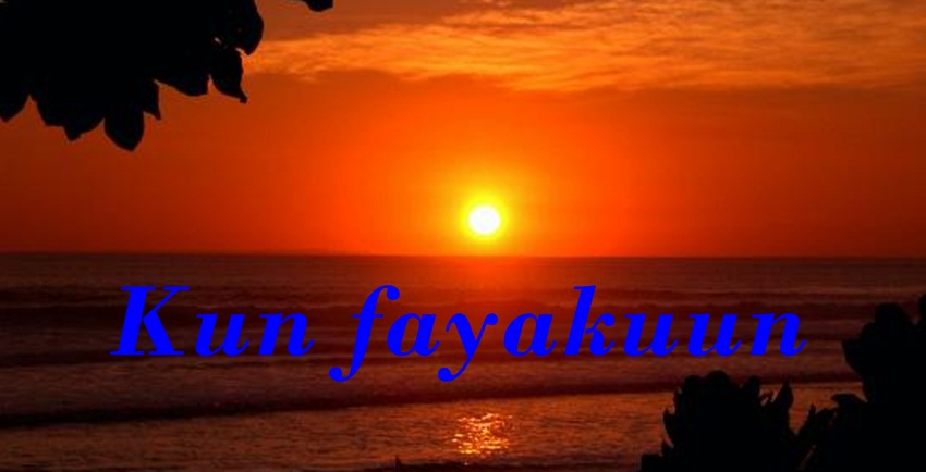 Kun Fayakun