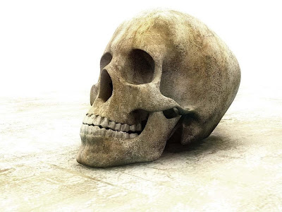 CALAVERA TONTA calavera tonta: