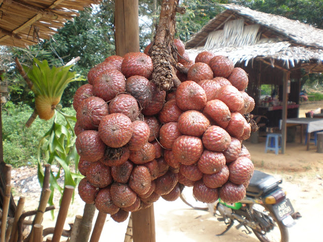 Buah Asam Kelubi