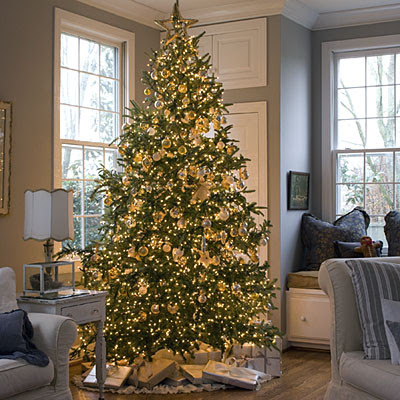 Christmas Trees Decorated Christmas Trees Decorated