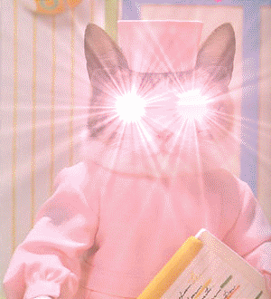 [gato.gif]