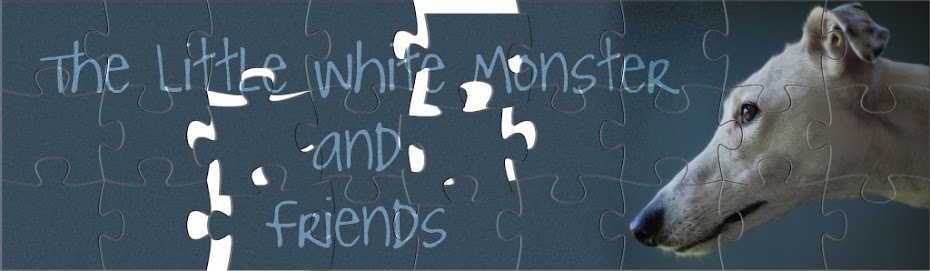 The Little White Monster and friends