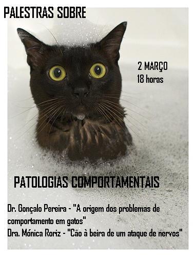 [palestras.JPG]
