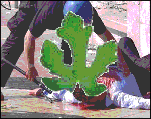 [feritidiaz2.GIF]