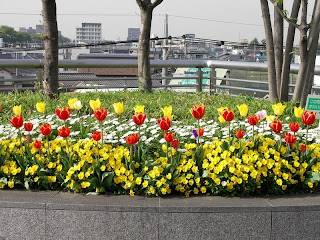 ほこすぎ橋の花壇