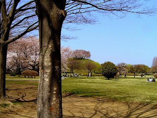 さきたま古墳公園