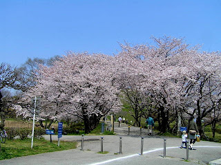 さきたま古墳公園