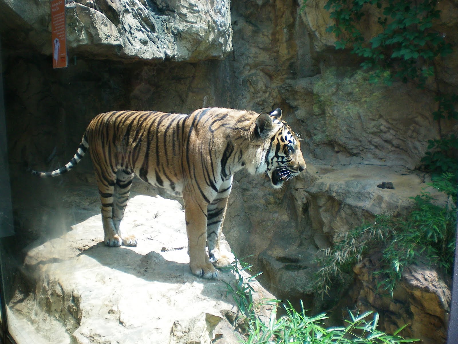 APRIL IN ALABAMA Birmingham Zoo Today