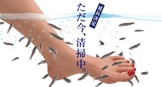 Doctor fish