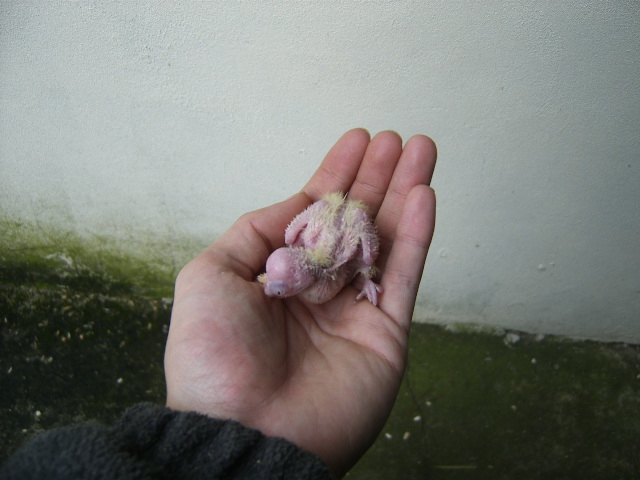 [DCAM0014.JPG]