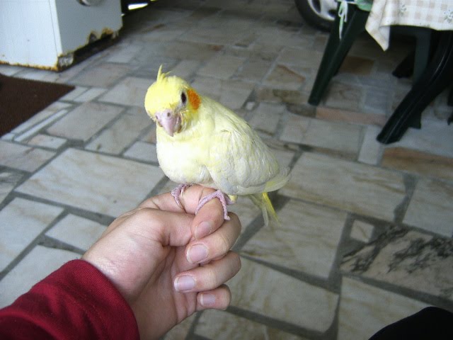[DCAM0009.JPG]