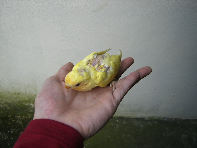 [DCAM0025.JPG]