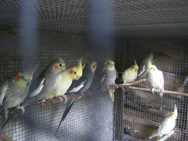 [DCAM1535.JPG]