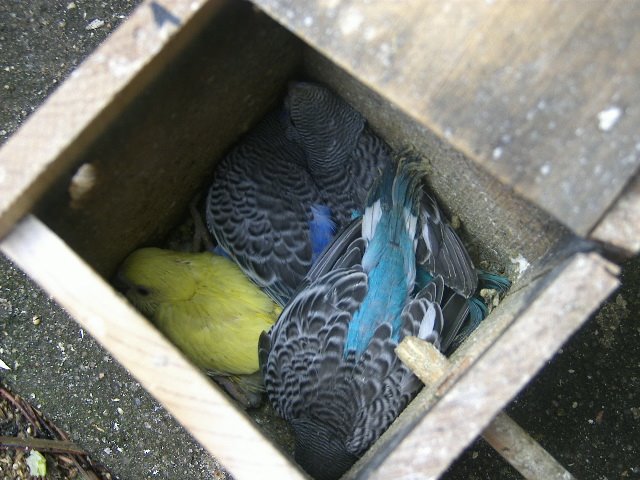 [DCAM2457.JPG]
