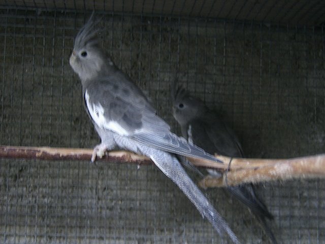 [DCAM2813.JPG]