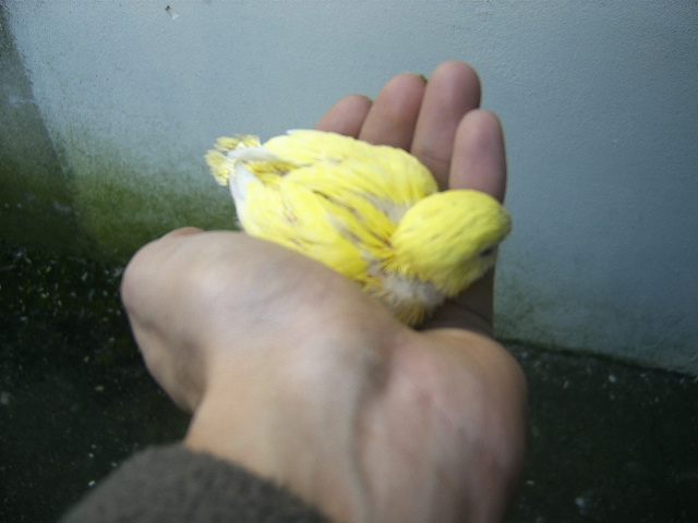 [DCAM3506.JPG]