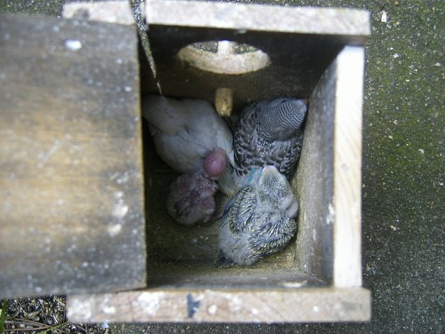 [DCAM3861.JPG]