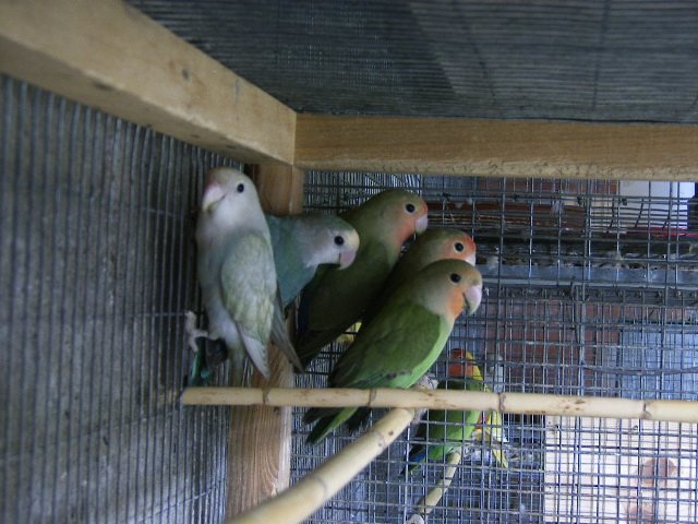 [DCAM4313.JPG]