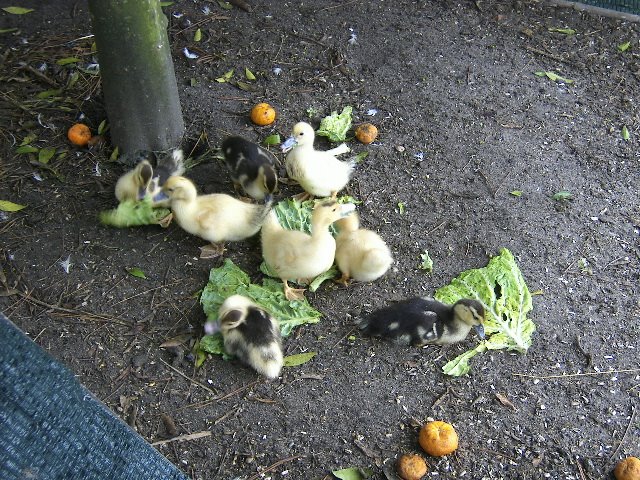 [DCAM4335.JPG]