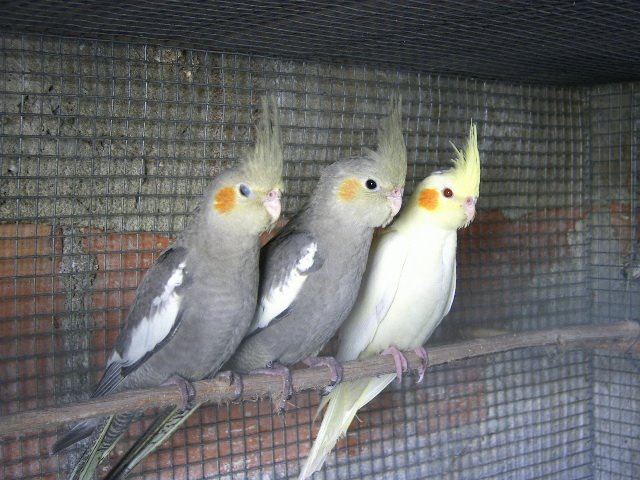 [DCAM4348.JPG]