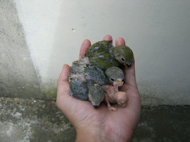 [DCAM4513.JPG]