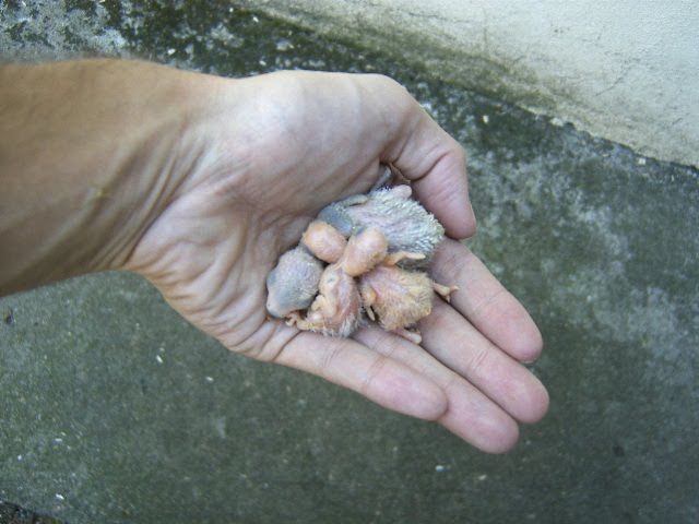 [DCAM5250.JPG]