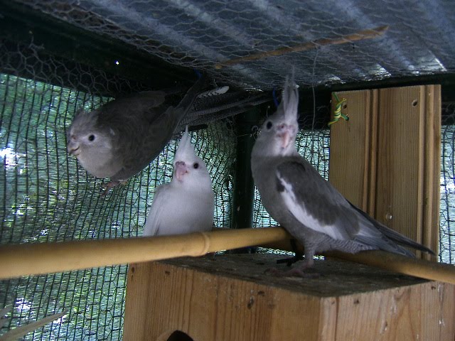 [DCAM5363.JPG]