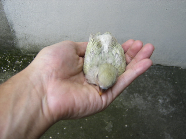 [DCAM5376.JPG]