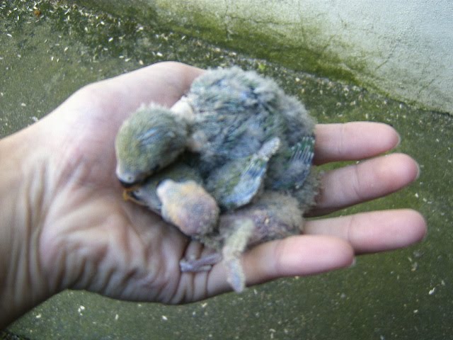 [DCAM5628.JPG]