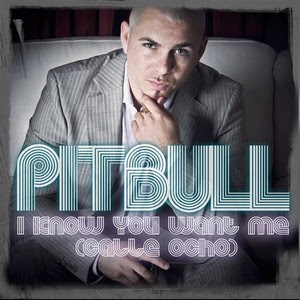 I Know You Want Me lyrics and mp3 performed by Pitbull - Wikipedia