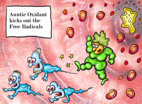 [antioxidants+free+radicals.jpg]