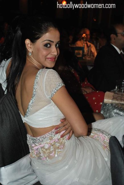 genelia+sexy+saree.jpg