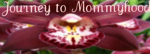 Journey to Mommyhood