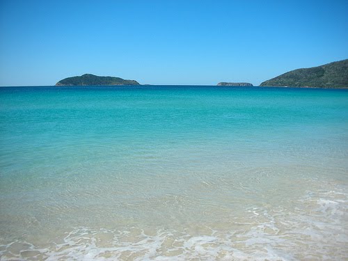 [2228982481_4e548f718f.jpg]