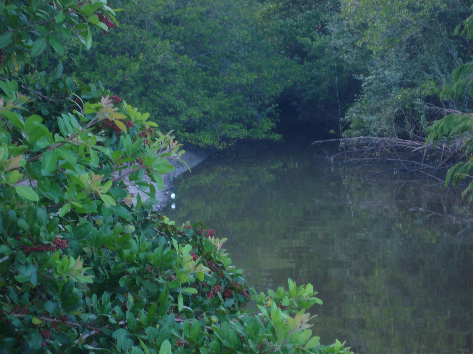 [itagua+204.jpg]