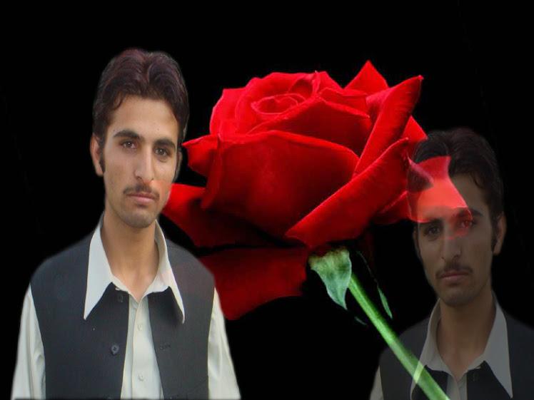 M.Faisal Anwary