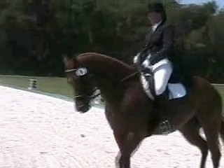 Dressage show July 2007