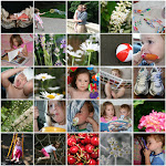 monthly mosaic