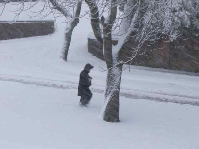 [Snow+1.jpg]