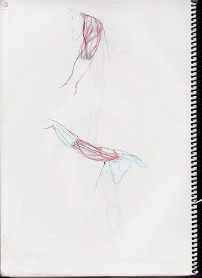 Lera Art ^_^ Mis dibujos, animaciones, esculturas, ediciones de video y más cosillas ^_^ Anatomia+brazo+humano+1
