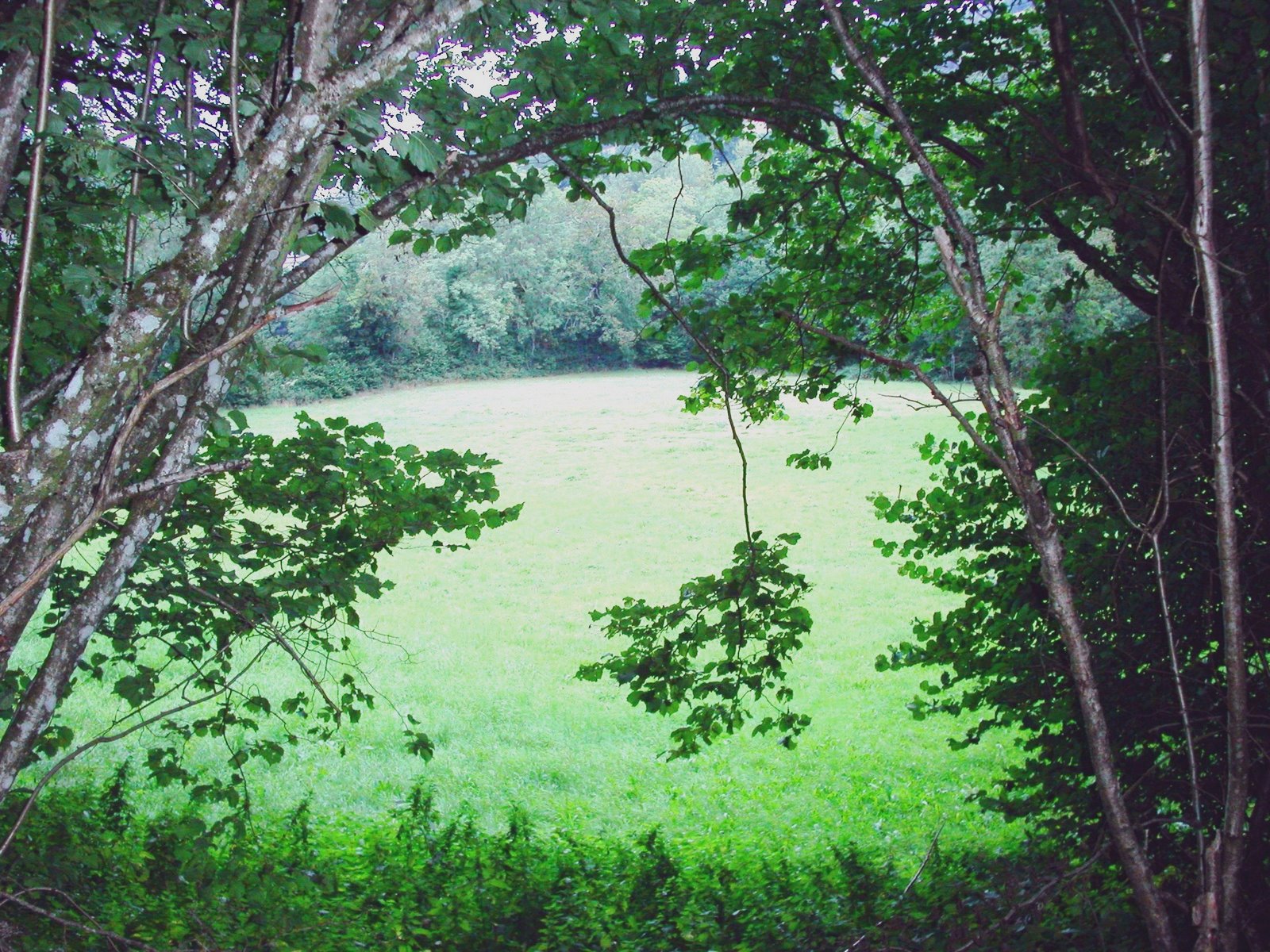 [pÃ¨lerin+Compostelle+020906+092.jpg]