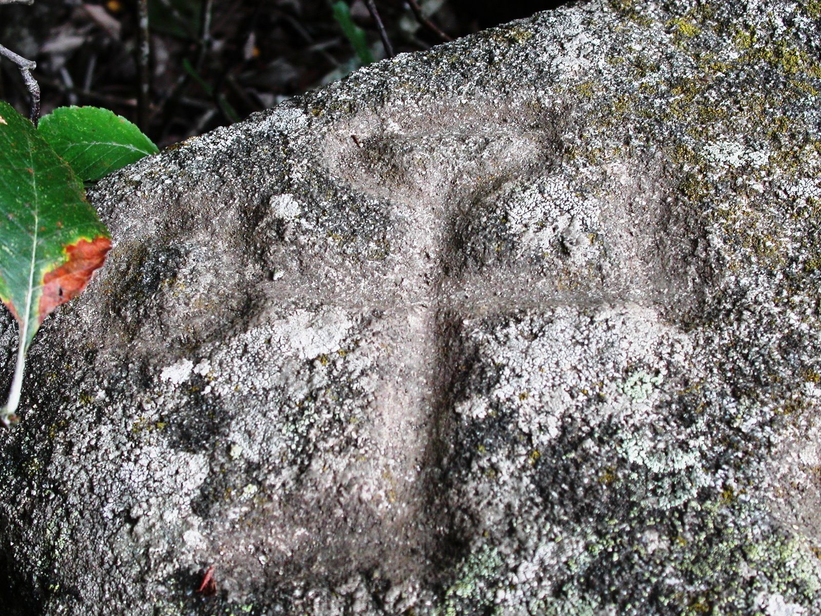 [pÃ¨lerin+Compostelle+020906+101.jpg]