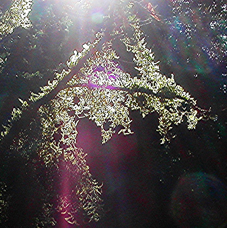 [PICT0124.JPG]