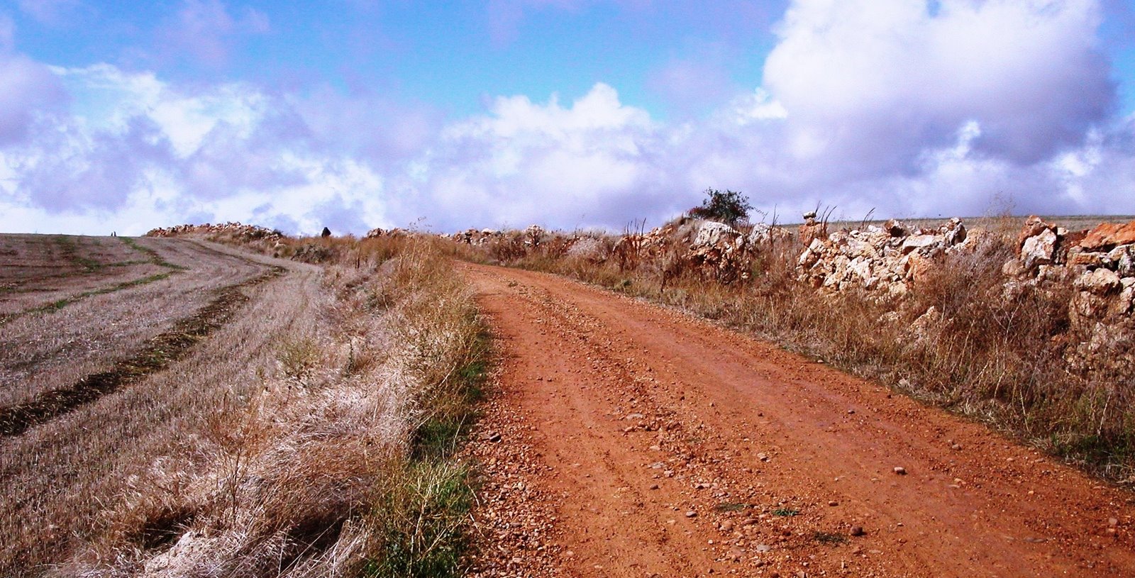 [PICT0459.JPG]