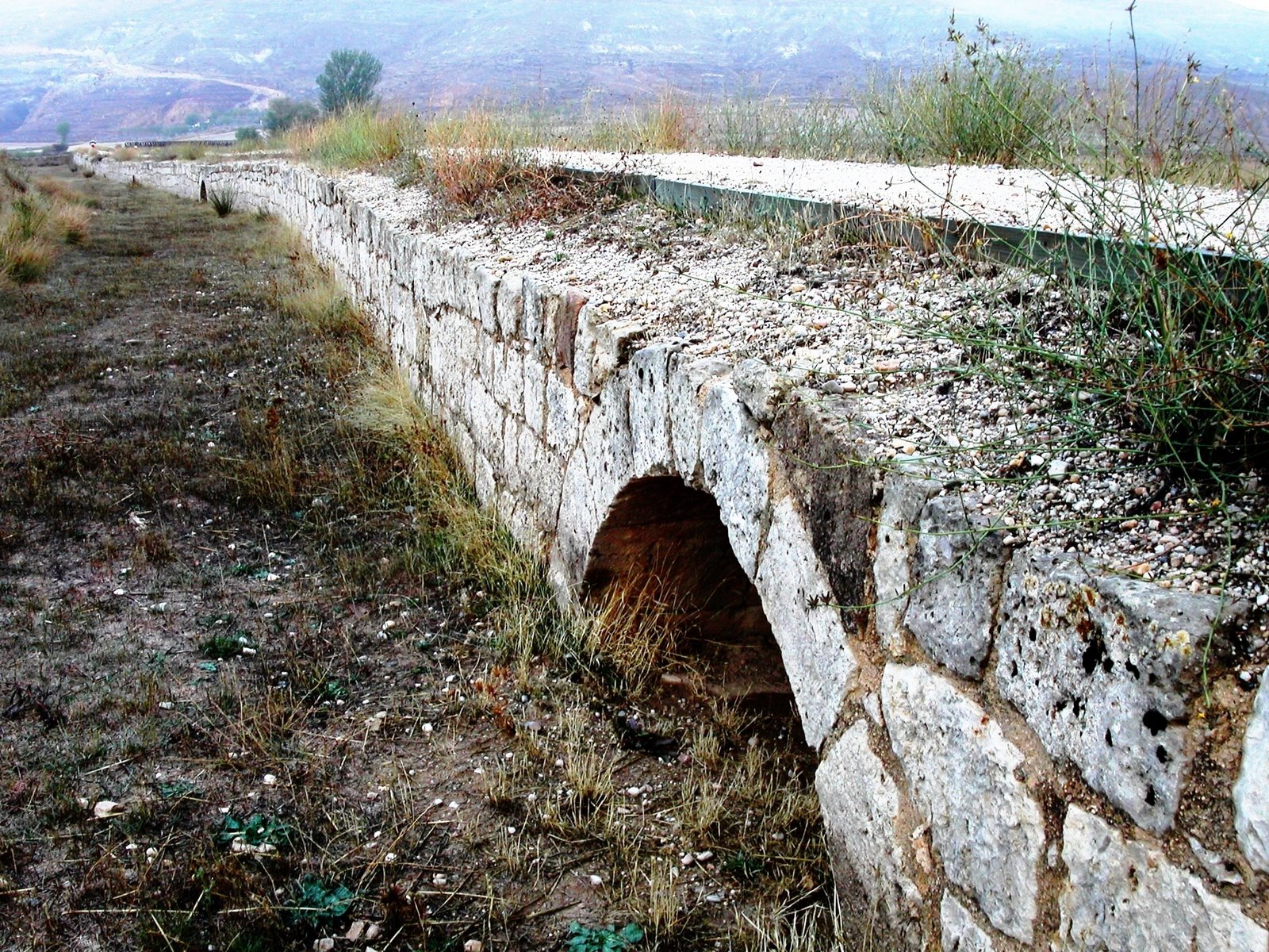 [PICT0474.JPG]
