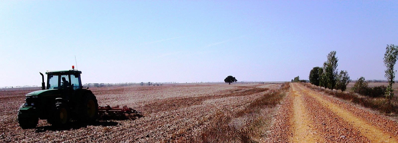 [PICT0495.JPG]