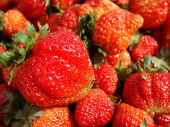 [DSC00327_調整大小.JPG]