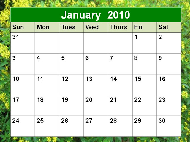 edge year planner 2011 yearly planner 2011. edge year planner 2011